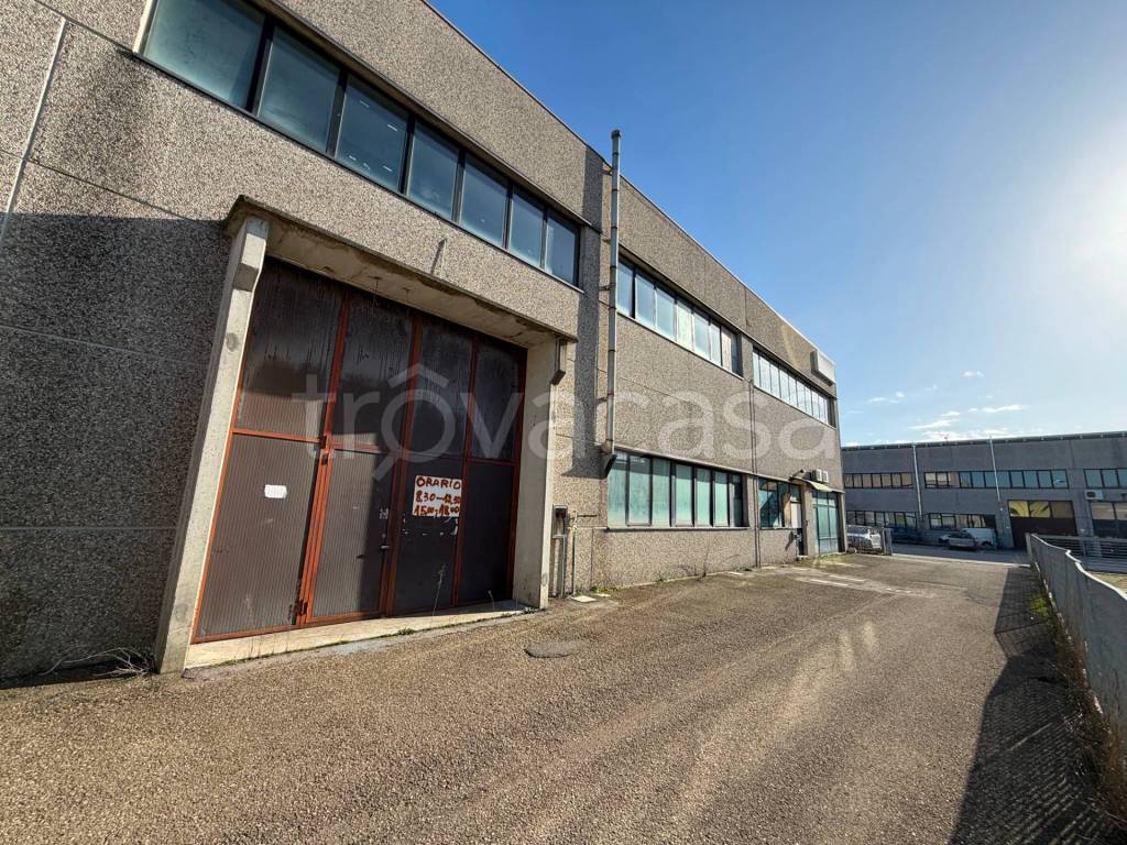 immagine annuncio 4 di 11