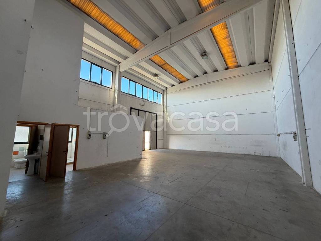 immagine annuncio 5 di 11