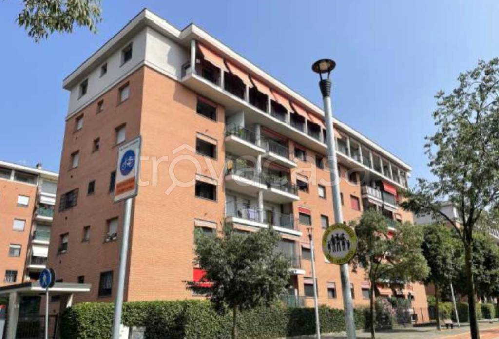 immagine annuncio 1 di 15