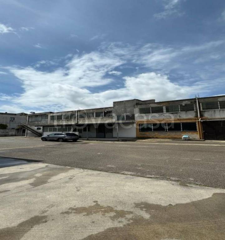 immagine annuncio 4 di 12