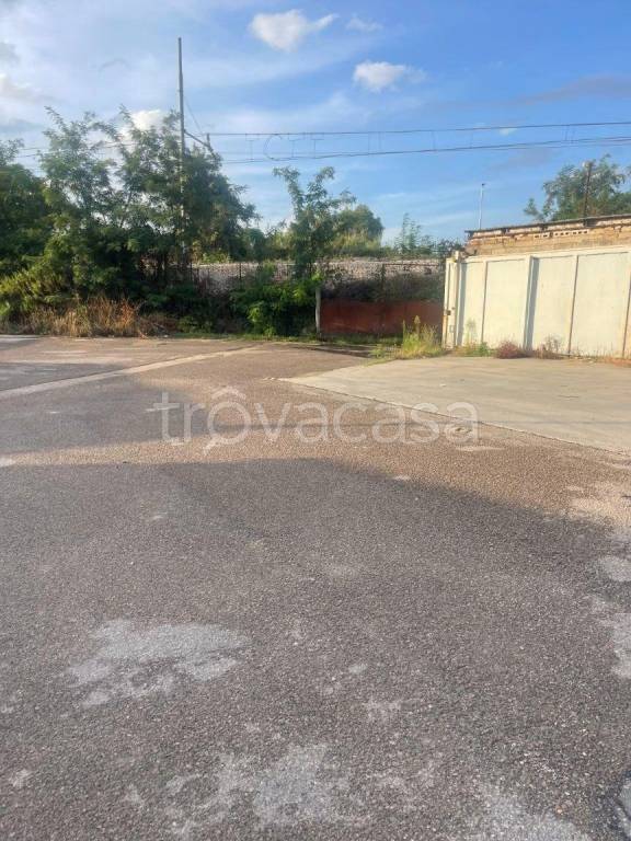 immagine annuncio 10 di 12