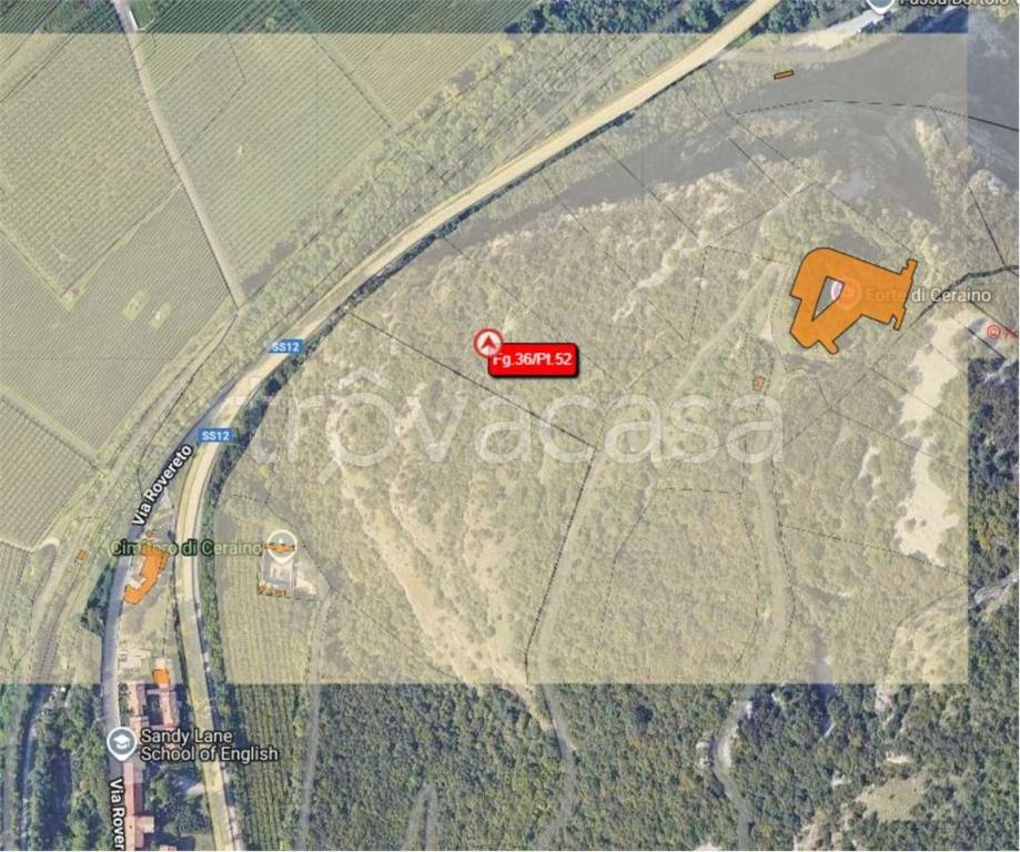 immagine annuncio 1 di 11