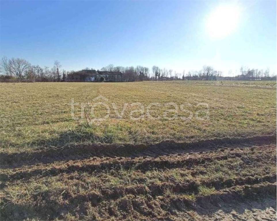 immagine annuncio 4 di 11