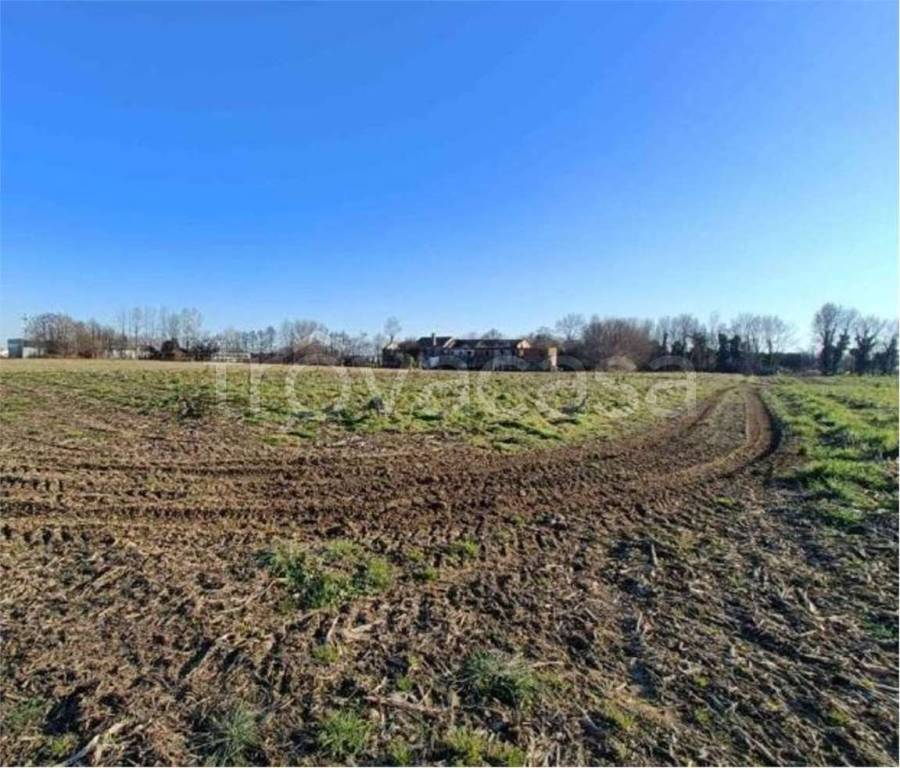 immagine annuncio 5 di 11