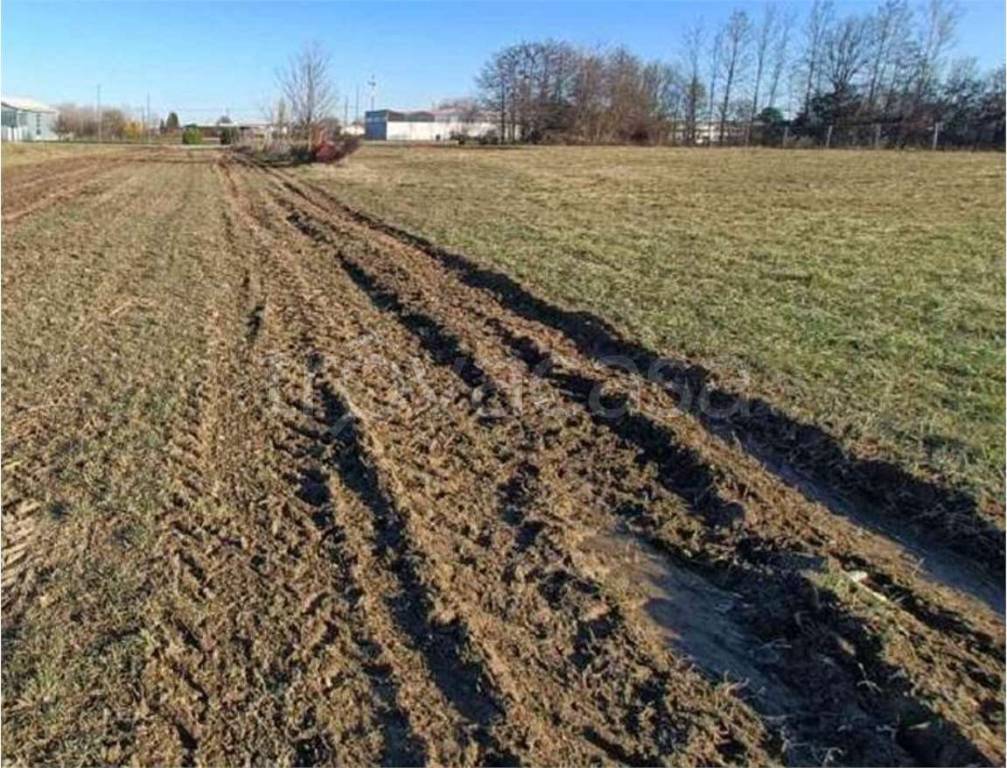 immagine annuncio 10 di 11