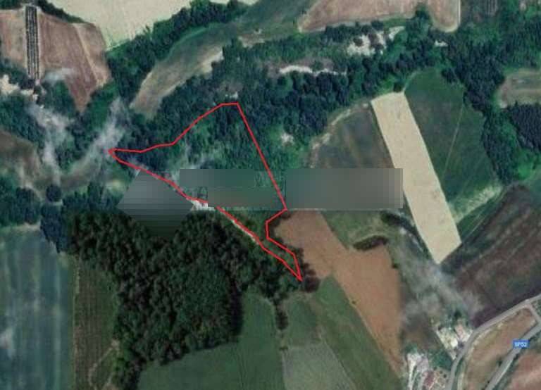 immagine annuncio 2 di 9