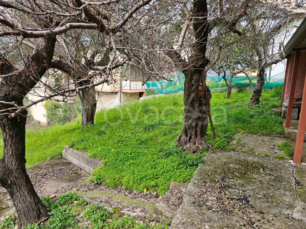 immagine annuncio 1 di 14