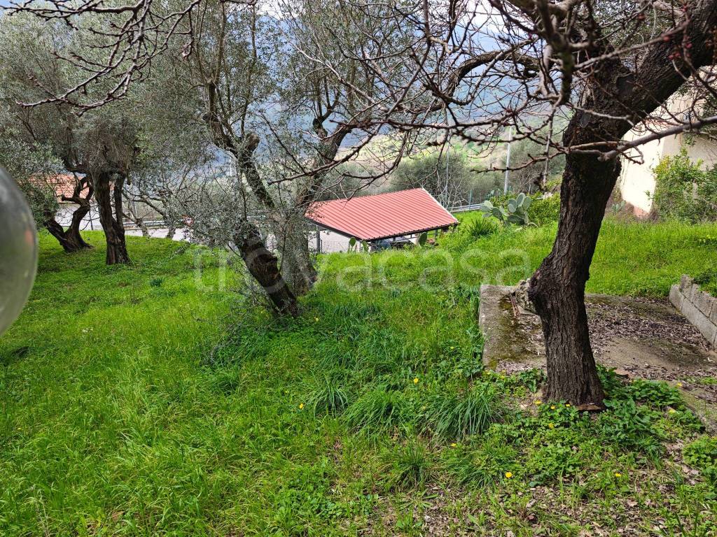 immagine annuncio 2 di 14