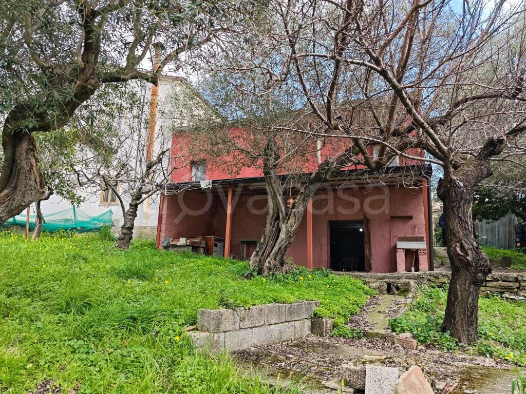 immagine annuncio 3 di 14