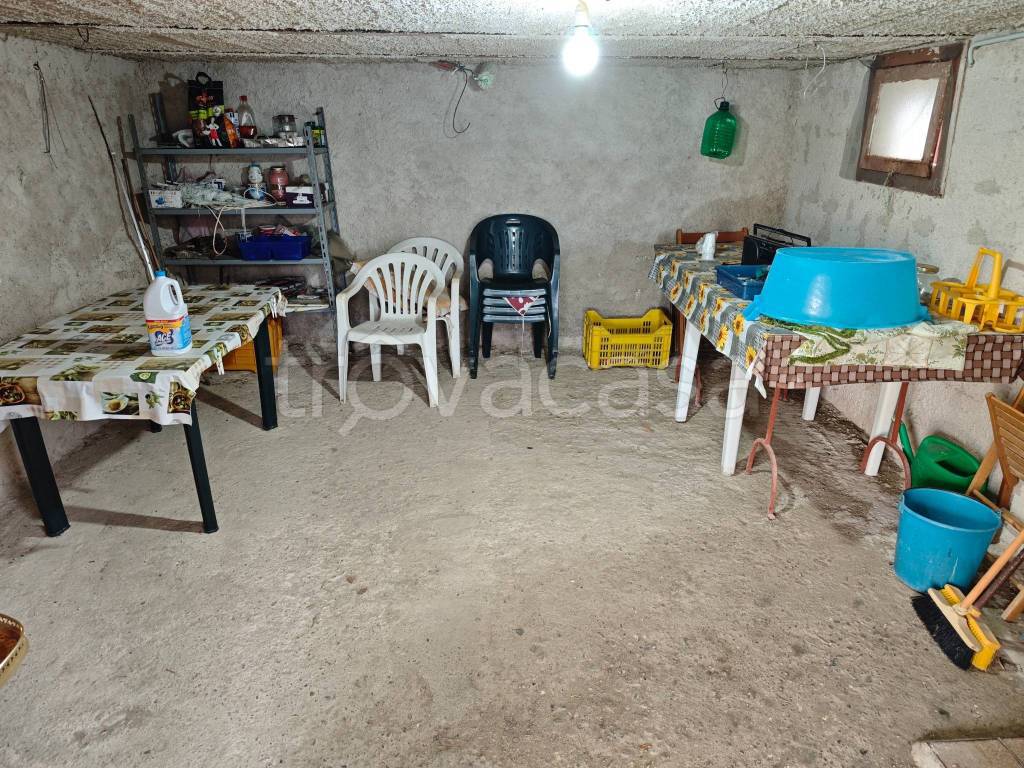 immagine annuncio 4 di 14