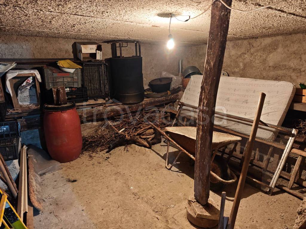 immagine annuncio 5 di 14