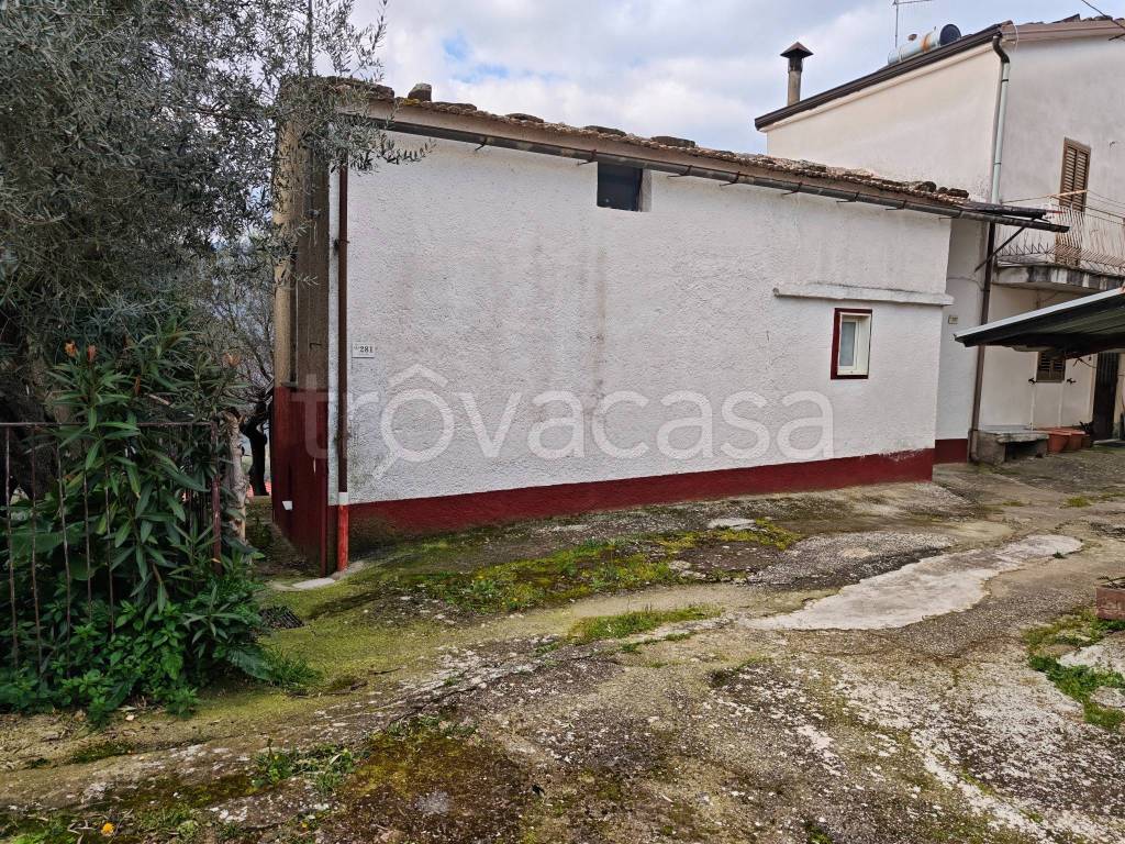 immagine annuncio 6 di 14