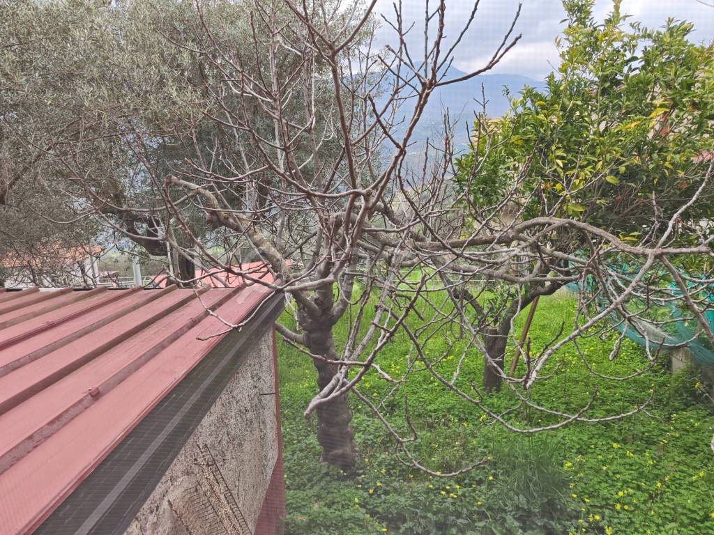 immagine annuncio 9 di 14