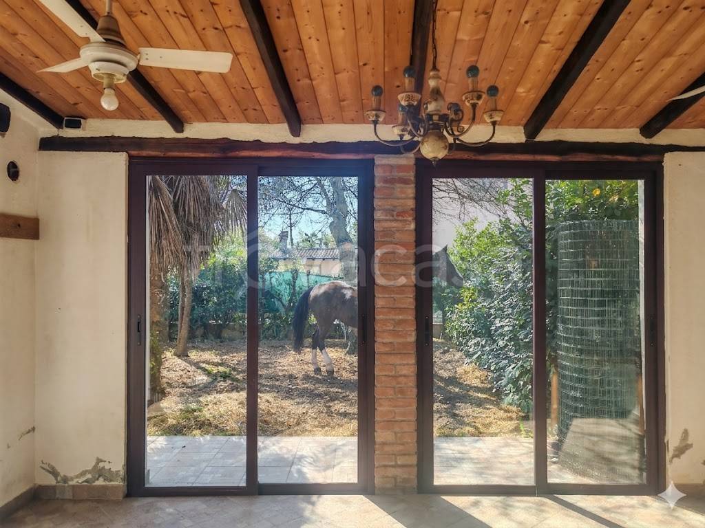 immagine annuncio 10 di 14