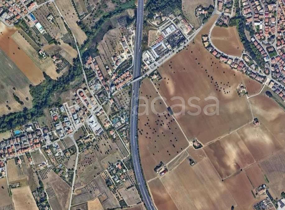 immagine annuncio 3 di 9