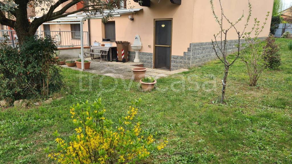 immagine annuncio 5 di 15