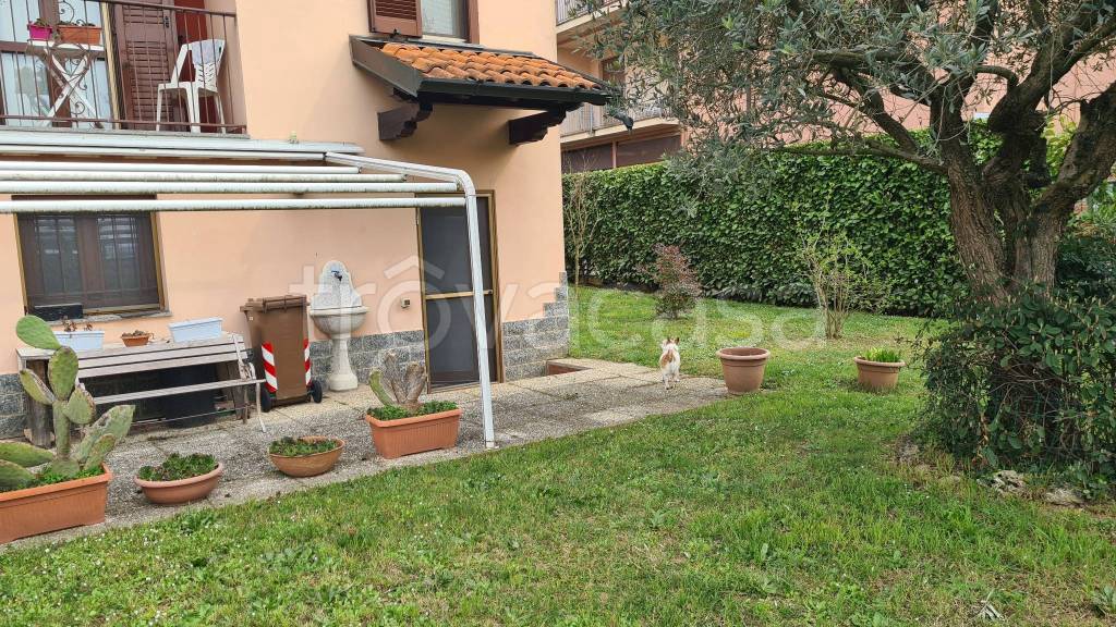 immagine annuncio 7 di 15