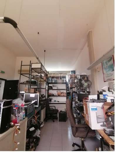 immagine annuncio 9 di 11