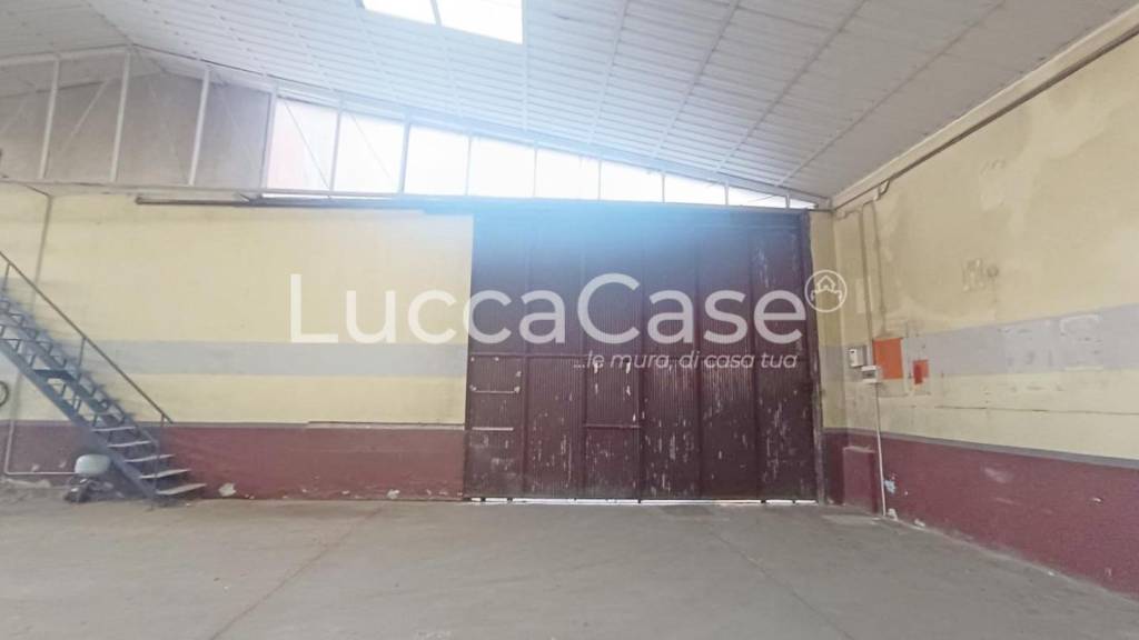 immagine annuncio 2 di 7