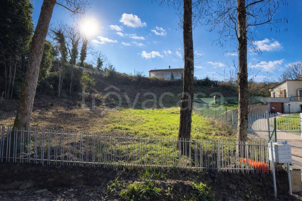 immagine annuncio 1 di 6