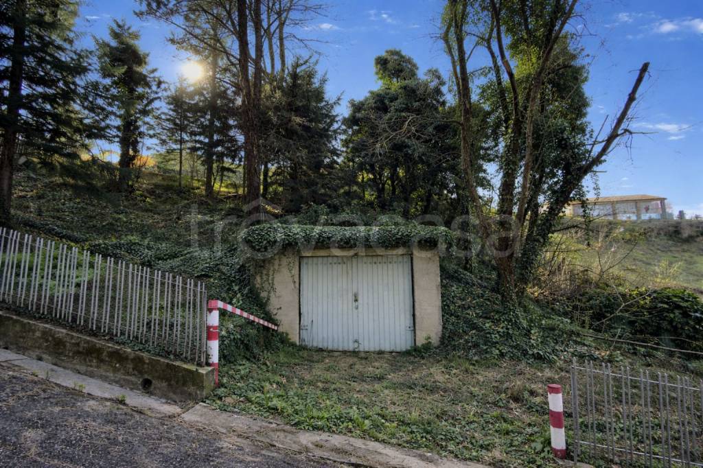 immagine annuncio 2 di 6