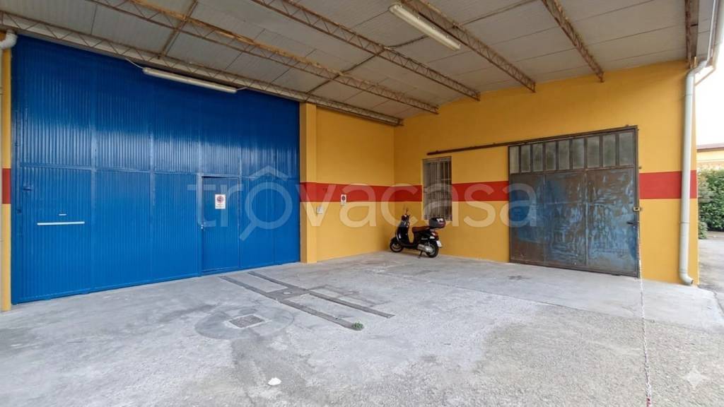 immagine annuncio 4 di 7