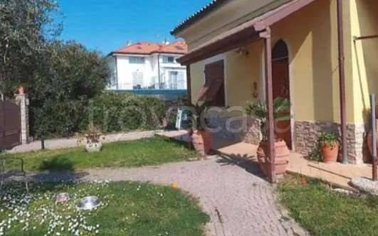 immagine annuncio 4 di 6