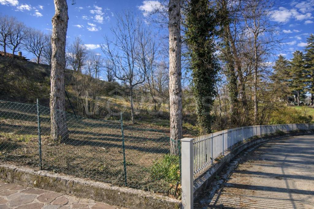 immagine annuncio 2 di 6