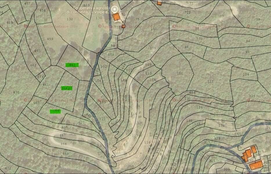 immagine annuncio 13 di 15