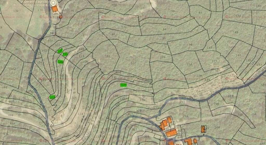 immagine annuncio 14 di 15