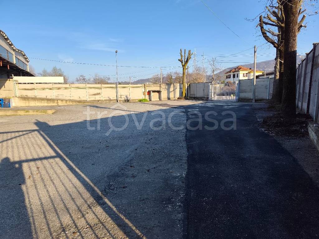 immagine annuncio 1 di 6