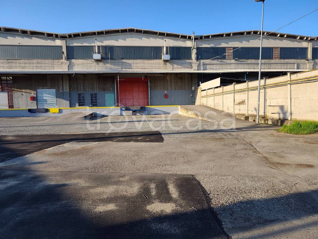 immagine annuncio 2 di 6