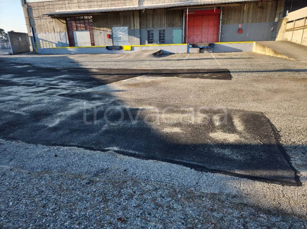 immagine annuncio 3 di 6