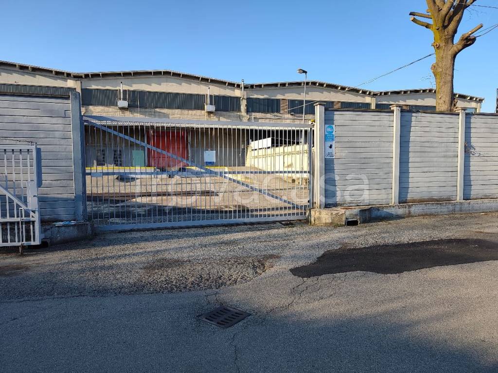 immagine annuncio 5 di 6