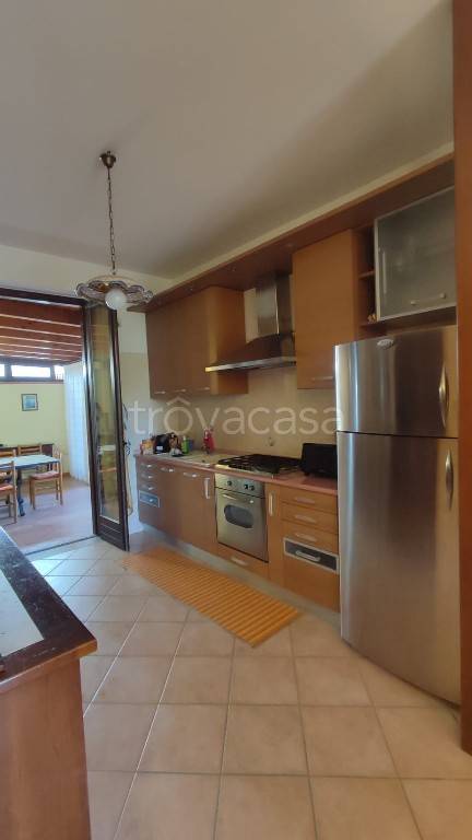 immagine annuncio 9 di 15