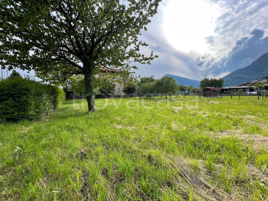 immagine annuncio 5 di 9