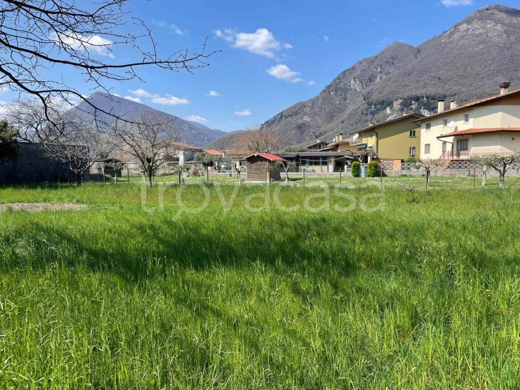 immagine annuncio 6 di 9