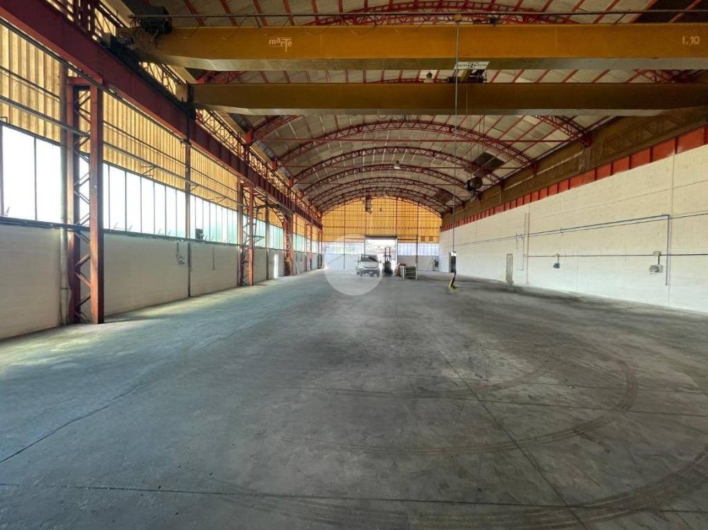 immagine annuncio 1 di 14