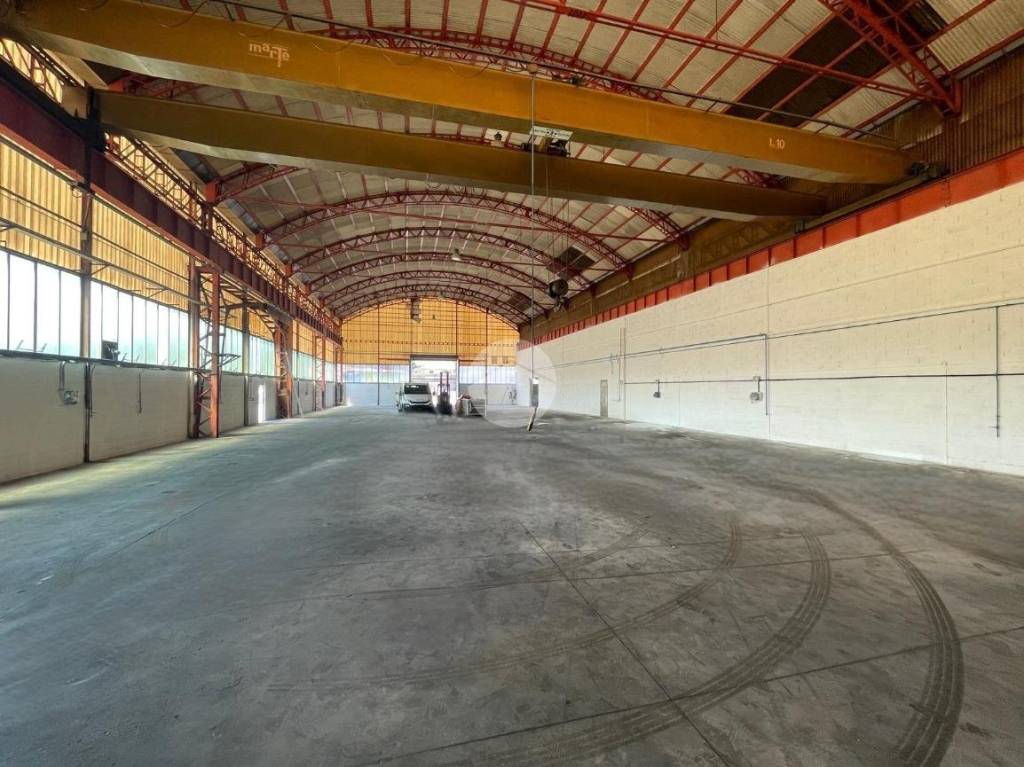 immagine annuncio 2 di 14