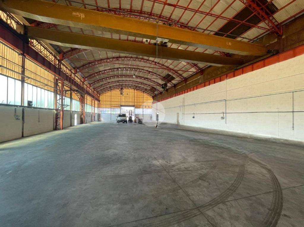 immagine annuncio 4 di 14