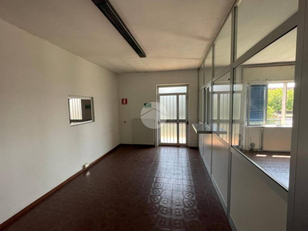 immagine annuncio 6 di 14