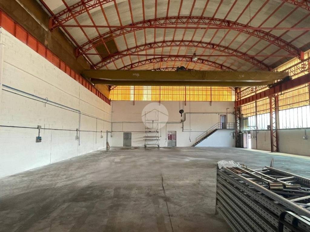 immagine annuncio 8 di 14