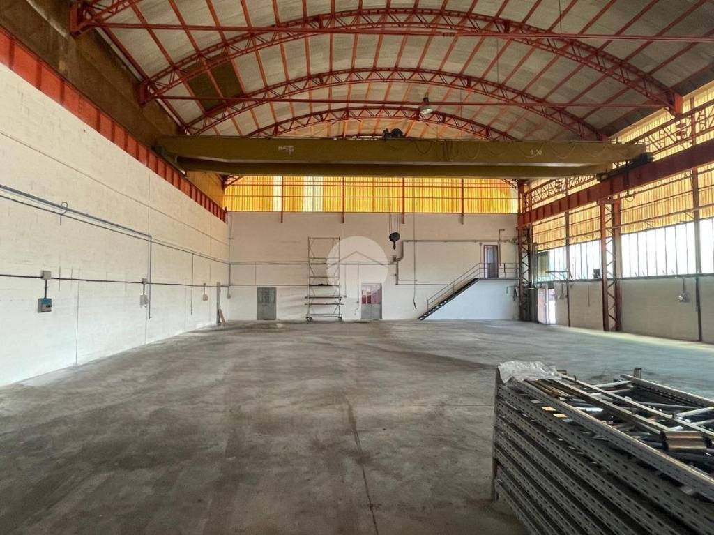 immagine annuncio 11 di 14