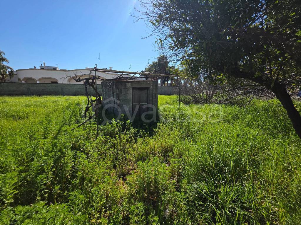 immagine annuncio 8 di 15