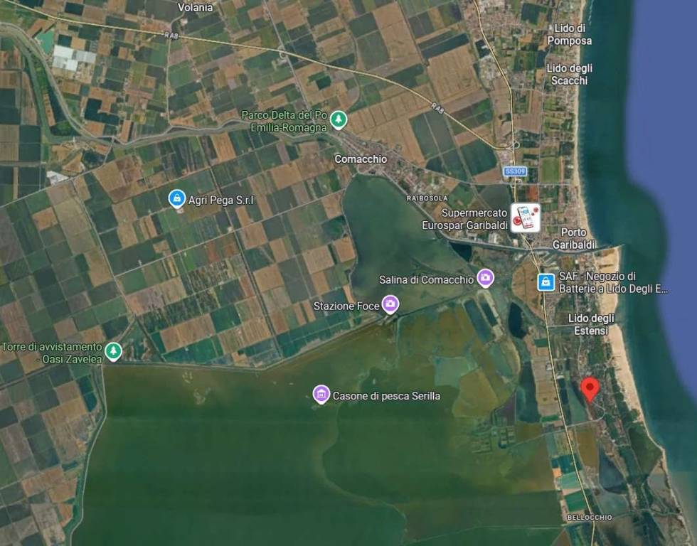 immagine annuncio 13 di 15