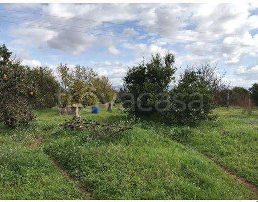 immagine annuncio 1 di 7