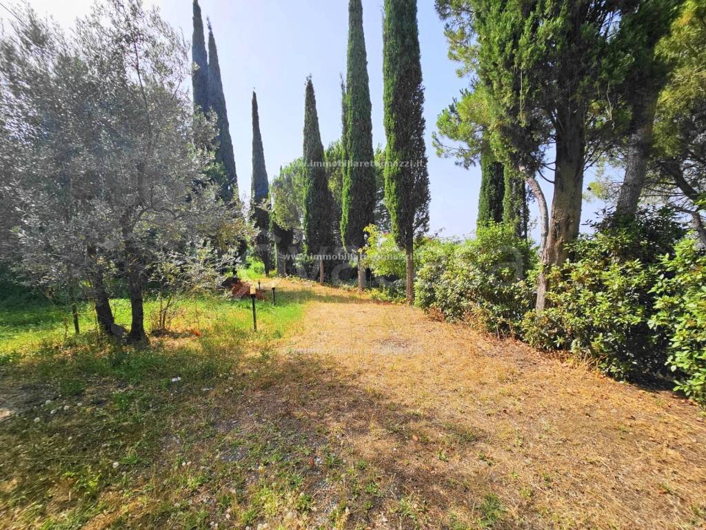 immagine annuncio 2 di 7