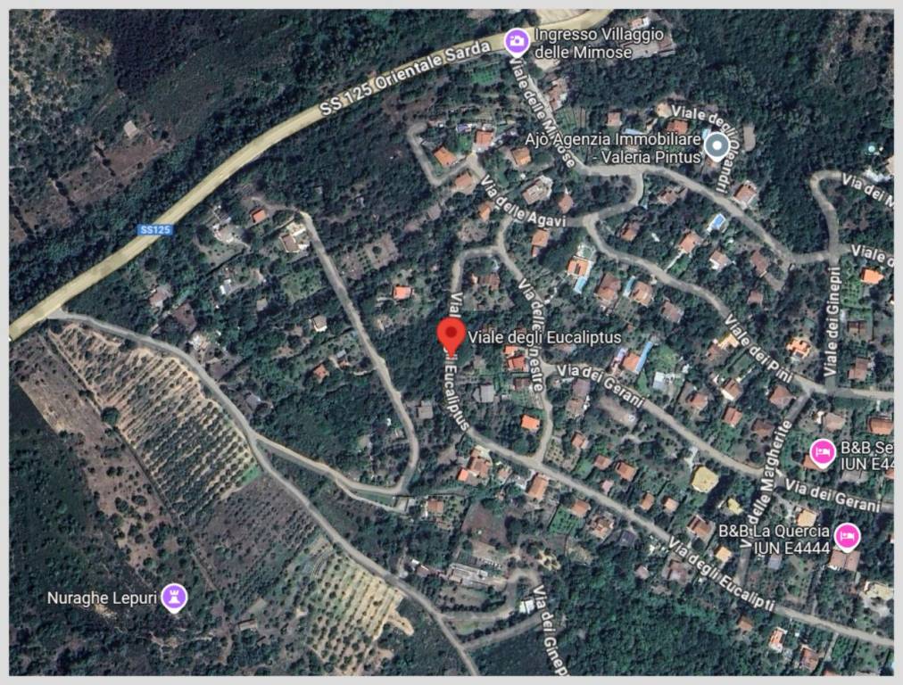 immagine annuncio 14 di 15