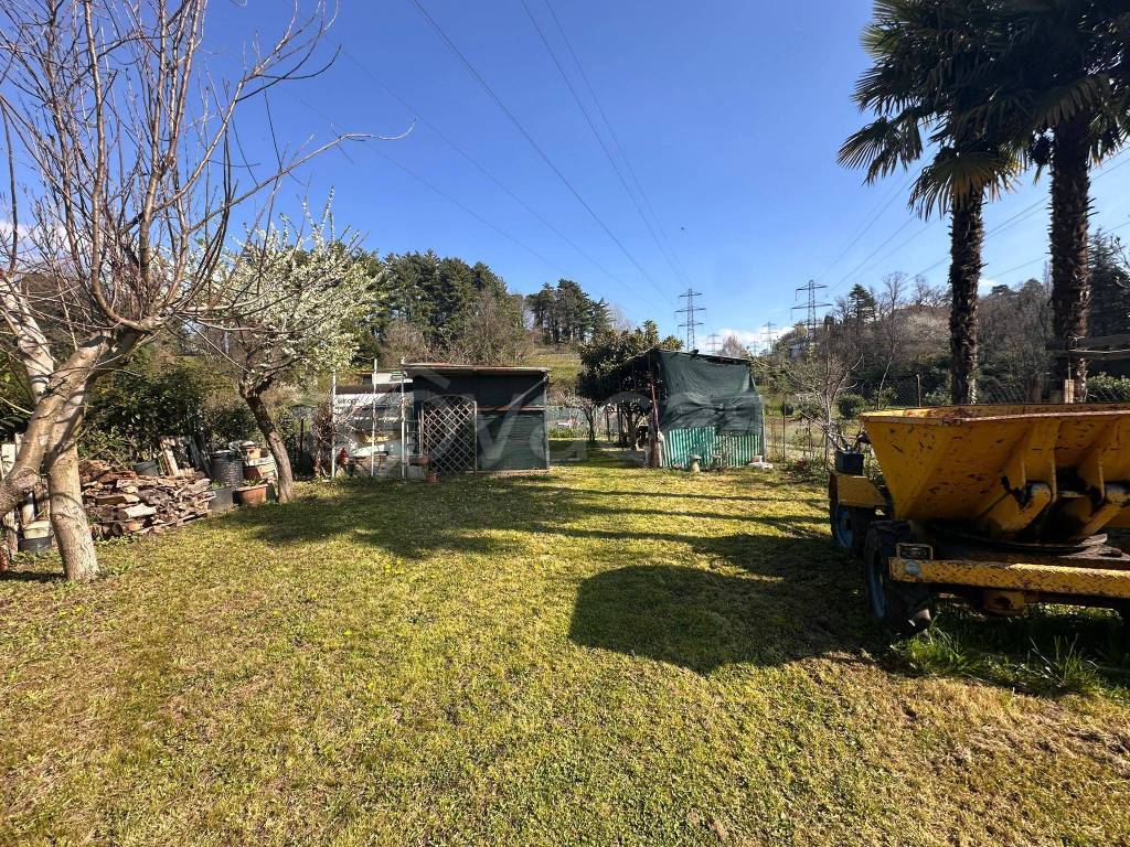 immagine annuncio 8 di 15