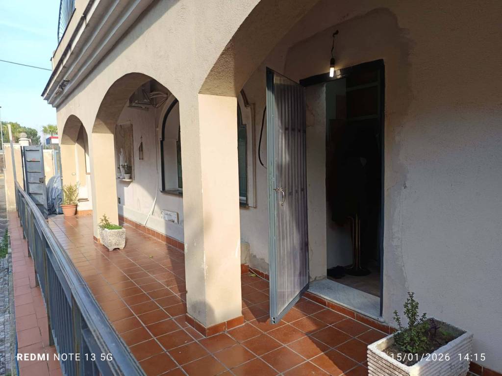 immagine annuncio 6 di 14